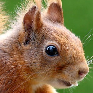 福州便民网家居频道-福州家居建材_福州家具团购_福州建材团购