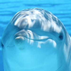 嵊州人才网-嵊州市人才网_绍兴市嵊州市人才网_嵊州人才市场_嵊州市人才市场_绍兴市嵊州市人才市场